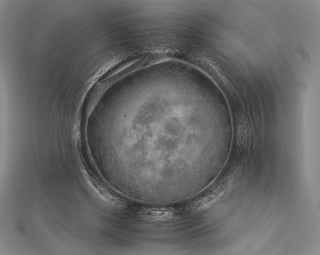 X0000113010443200908271412