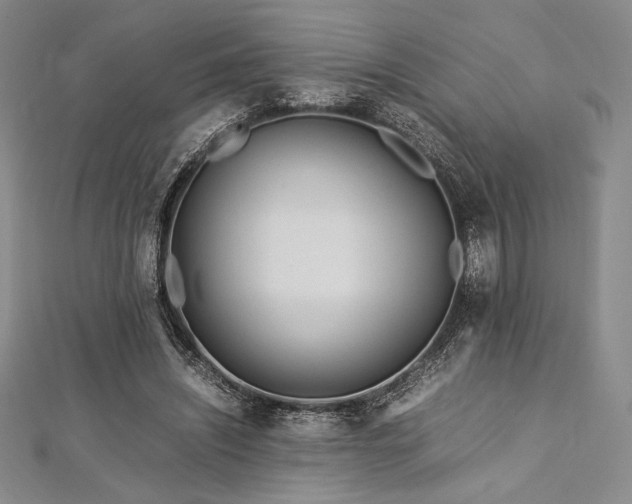 X0000113010444200908271412