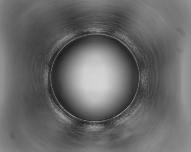 X0000113010445200908271412