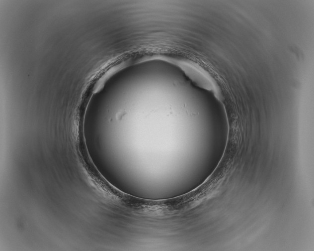 X0000113010446200908271412