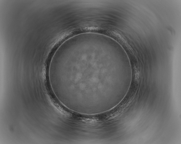 X0000113010447200908271412