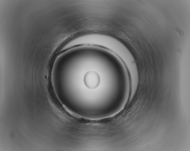 X0000113010448200908271412