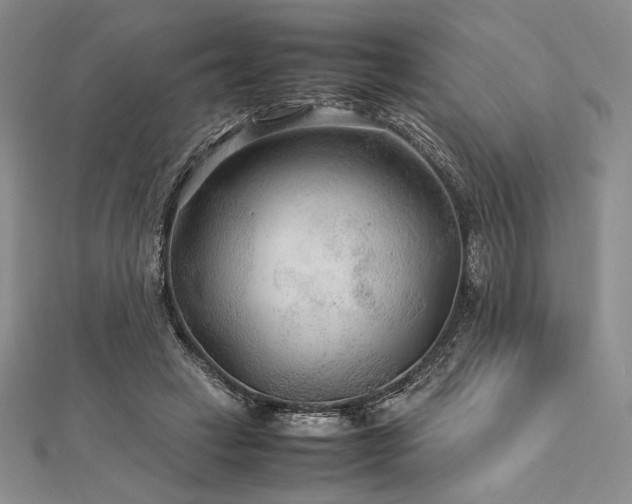 X0000113010449200908271412