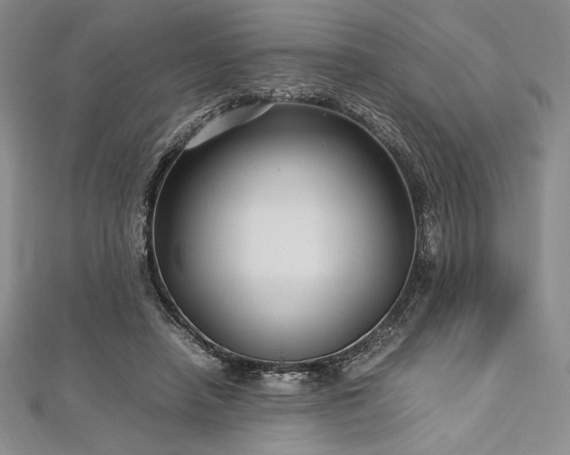 X0000113010450200908271412