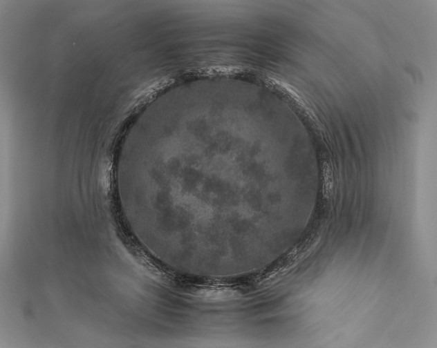 X0000113010451200908271413