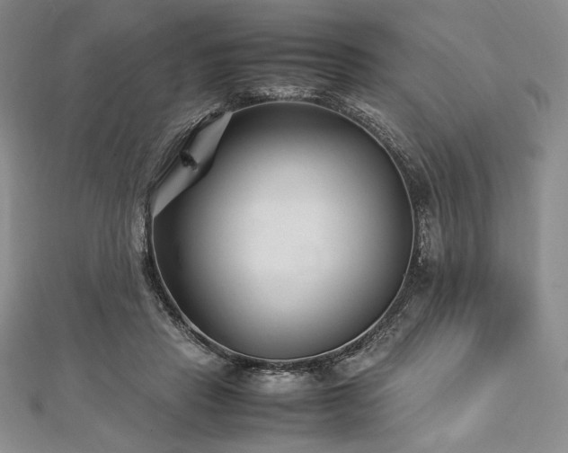 X0000113010453200908271413