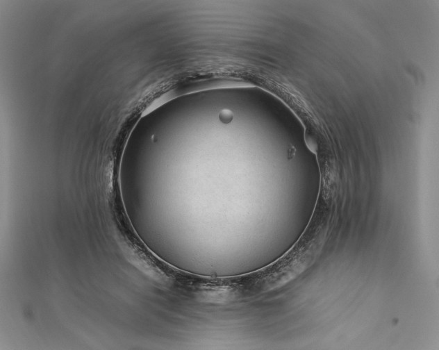 X0000113010454200908271413