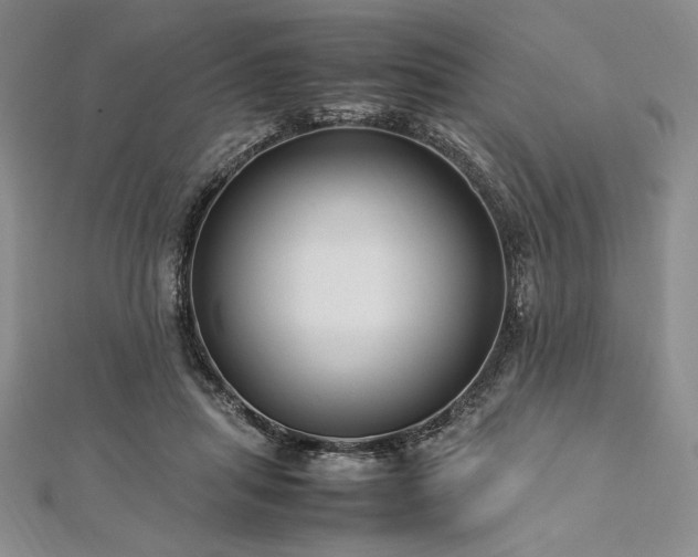 X0000113010455200908271413