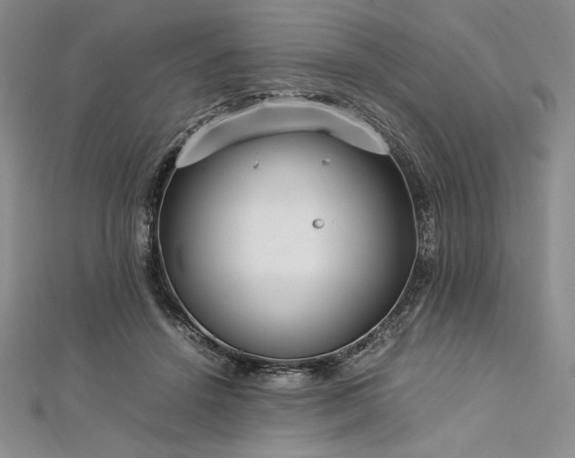 X0000113010456200908271413