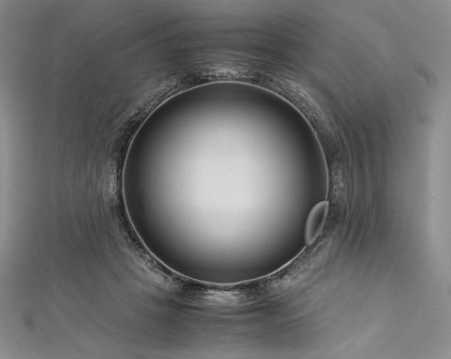 X0000113010457200908271413