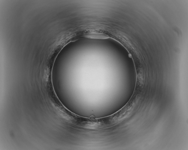 X0000113010458200908271413