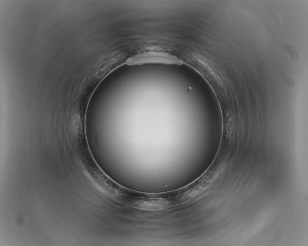 X0000113010459200908271413