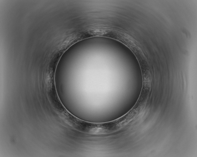 X0000113010460200908271413