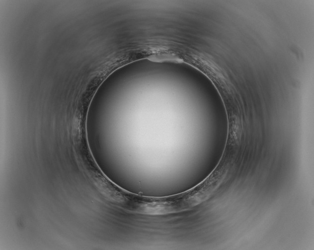 X0000113010461200908271413