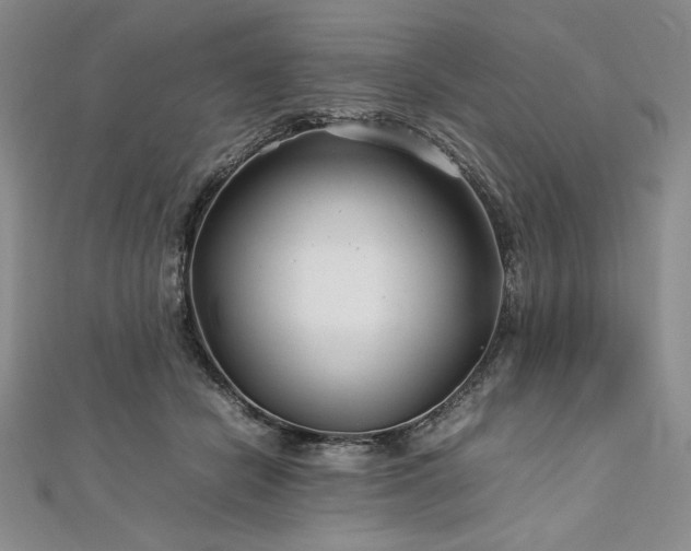 X0000113010462200908271413