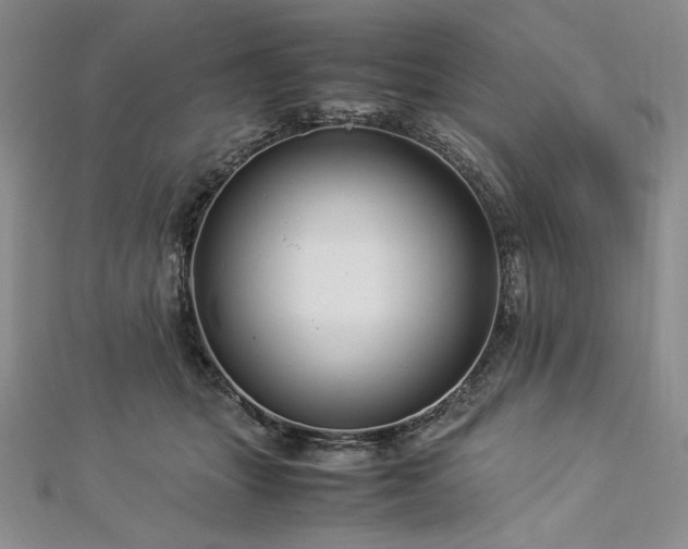 X0000113010463200908271413