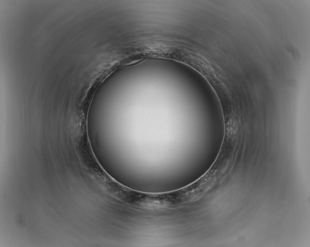 X0000113010464200908271413