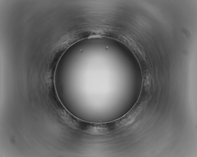 X0000113010466200908271413