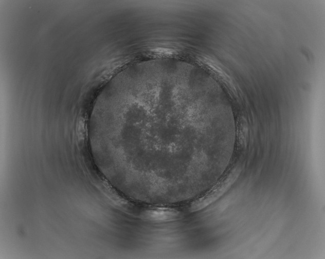 X0000113010467200908271413