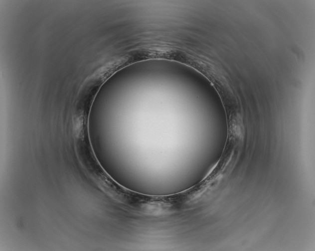 X0000113010468200908271413