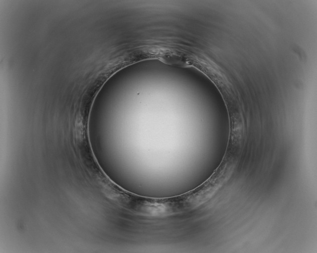 X0000113010469200908271413