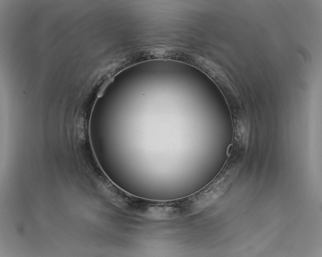 X0000113010470200908271413