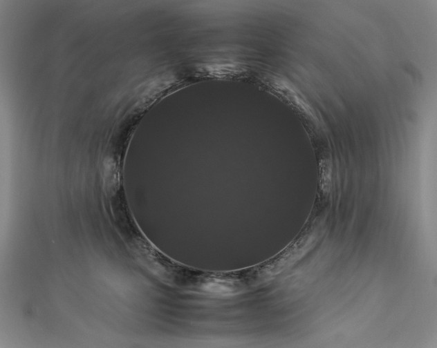 X0000113010471200908271413