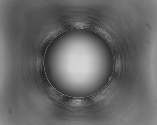 X0000113010473200908271413