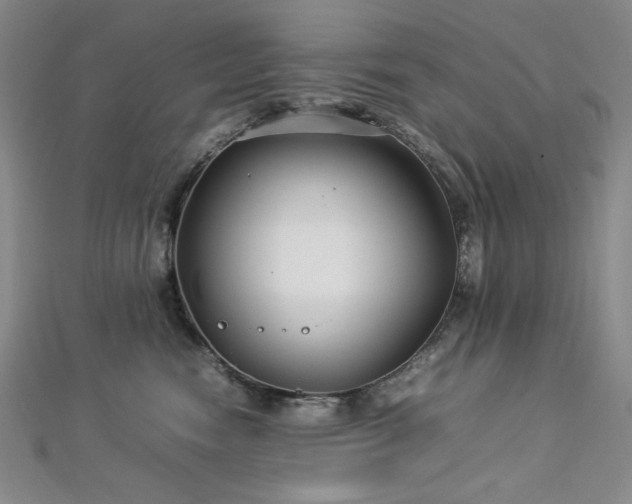 X0000113010474200908271413