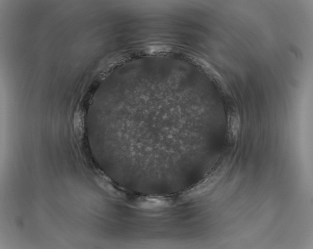 X0000113010475200908271413