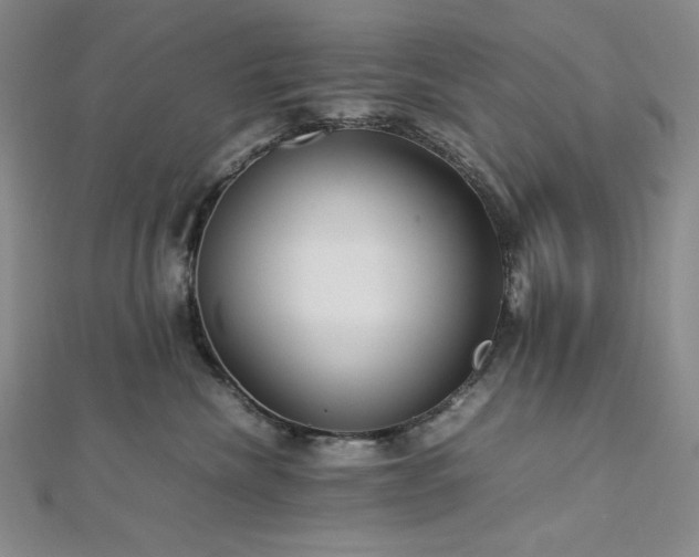 X0000113010476200908271413