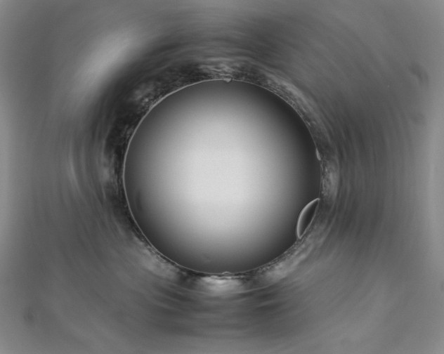 X0000113010477200908271413