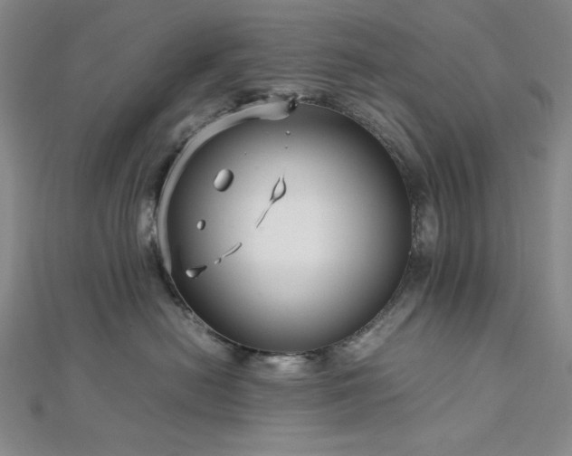 X0000113010478200908271413