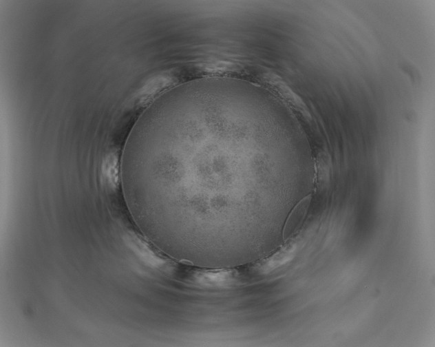 X0000113010479200908271413