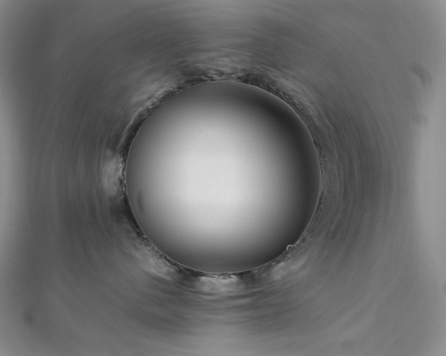 X0000113010480200908271413