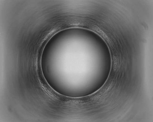 X0000113010482200908271412