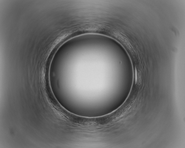 X0000113010483200908271412