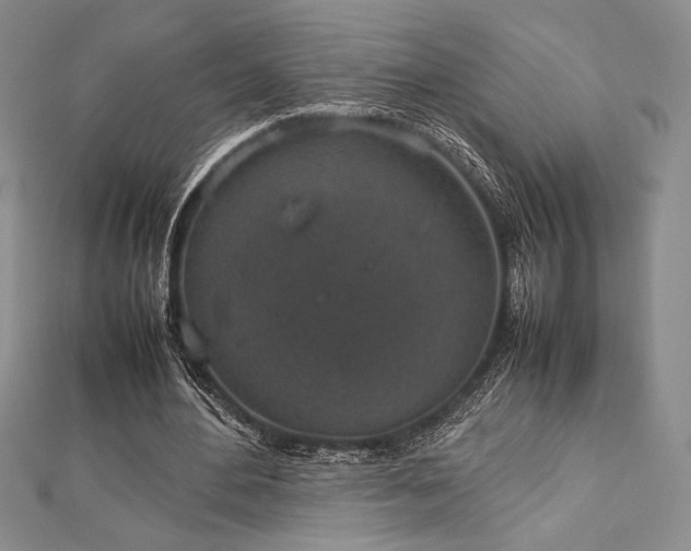 X0000113010484200908271412