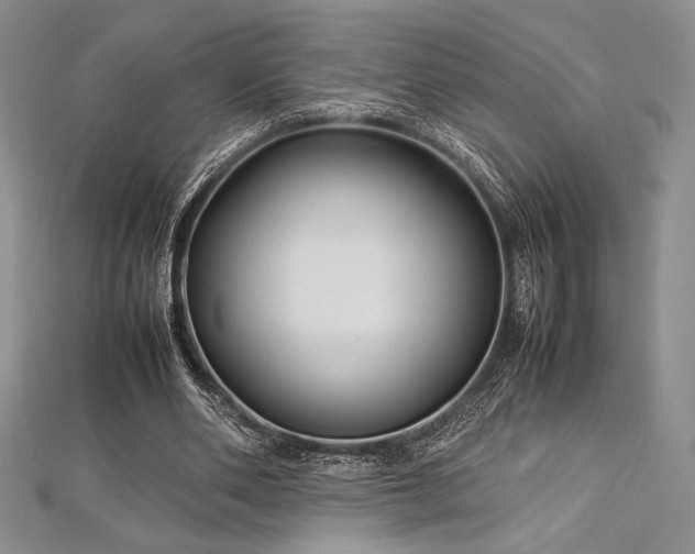 X0000113010486200908271412