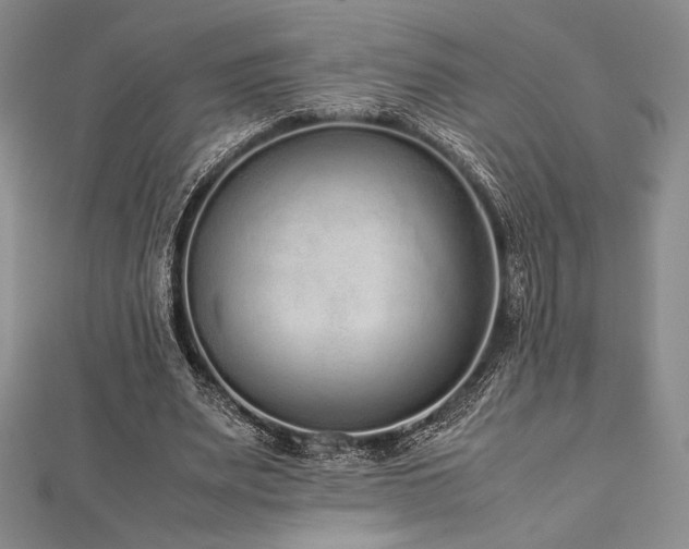 X0000113010487200908271412