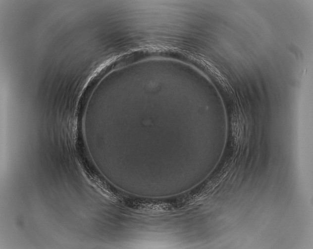 X0000113010488200908271412