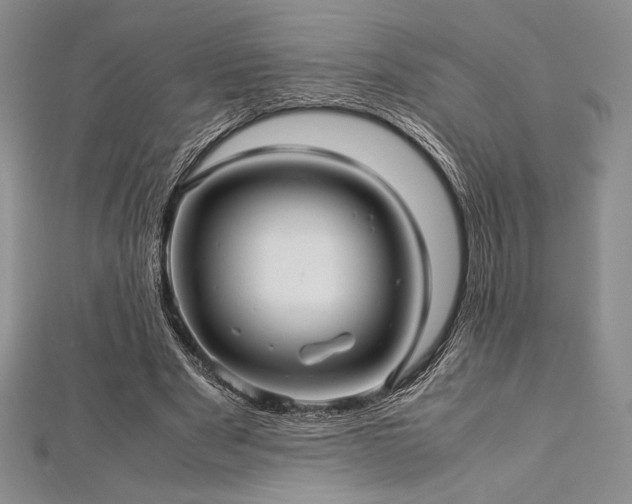 X0000113010489200908271412