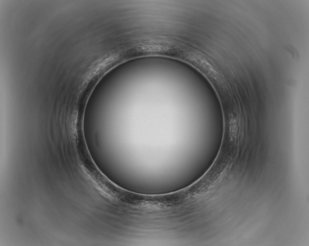 X0000113010490200908271412