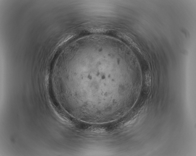 X0000113010491200908271412