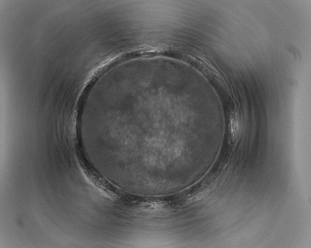 X0000113010492200908271412