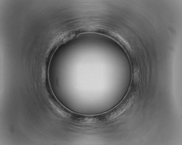 X0000113010493200908271412