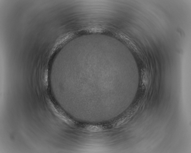 X0000113010494200908271412