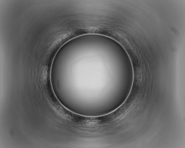 X0000113010495200908271412