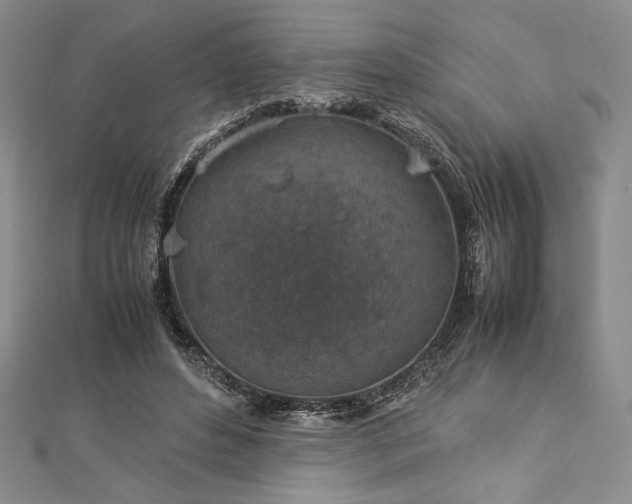 X0000113010496200908271412