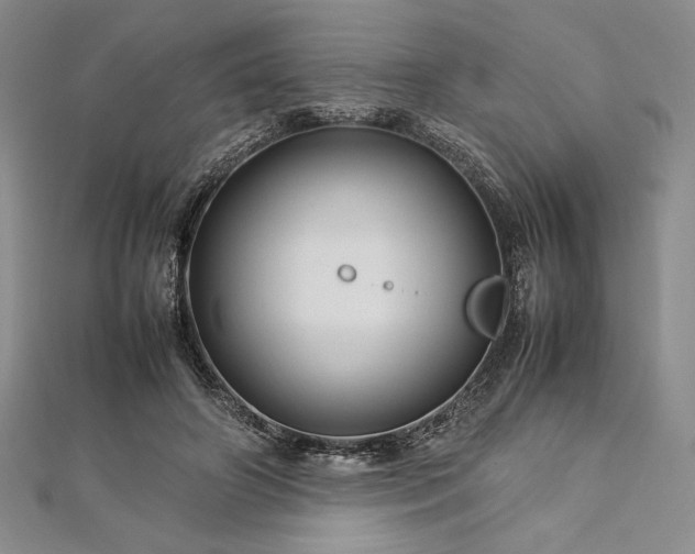 X0000113010498200908271412